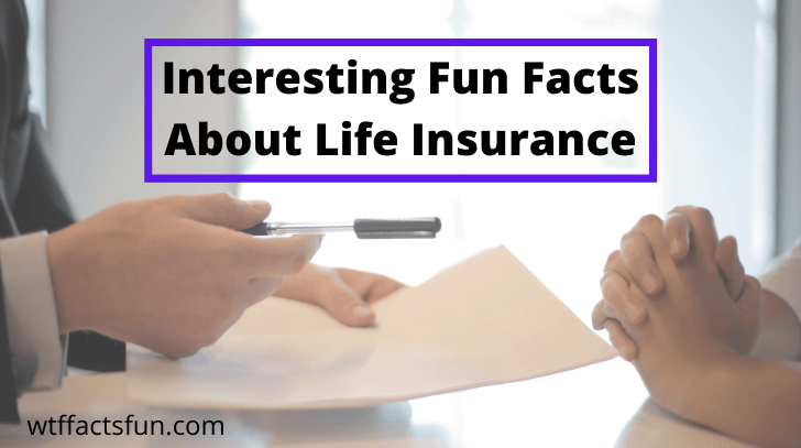 Fun Facts About Life Insurance