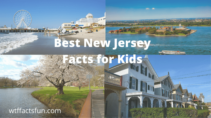 Best New Jersey Facts for Kids