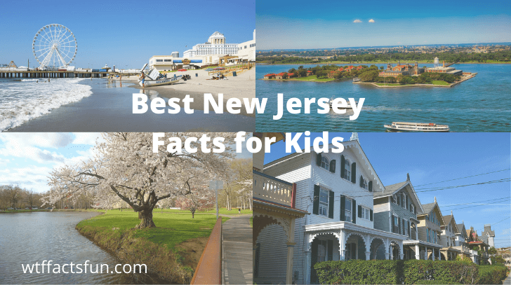 New Jersey Facts No Body Knows