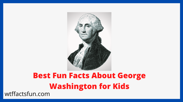 Fun Facts About George Washington for Kids