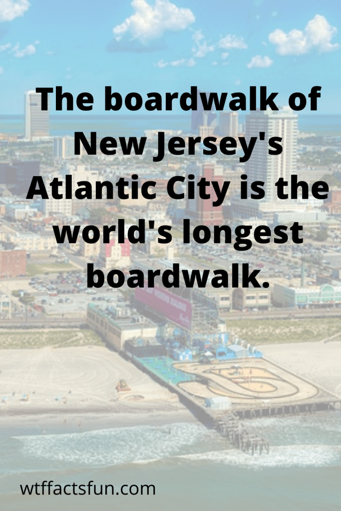 New Jersey Facts No Body Knows