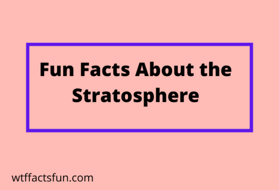 Fun Facts About Stratosphere