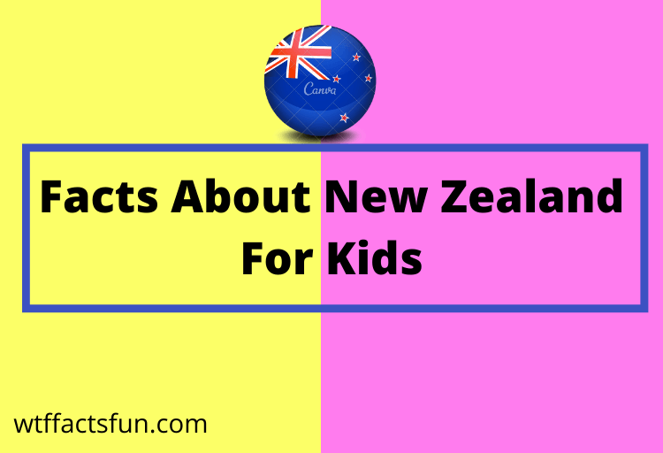 Facts About New Zealand For Kids