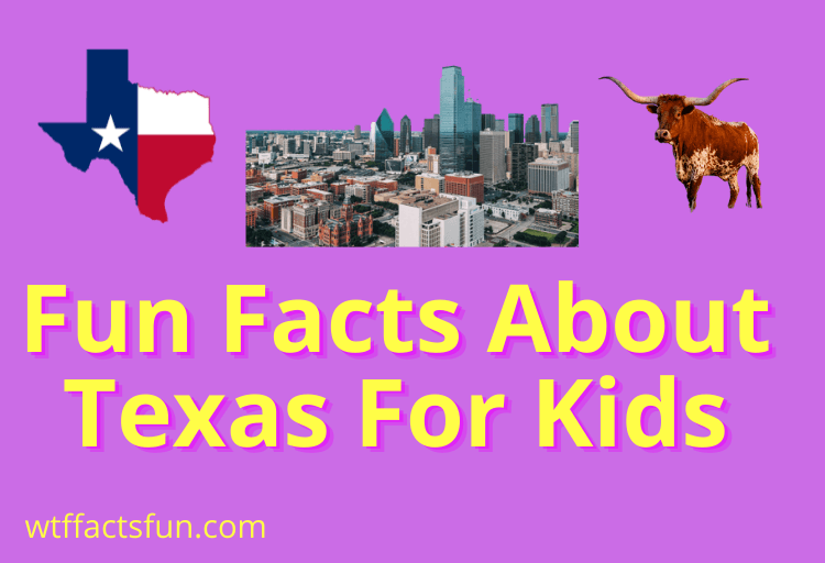 Fun Facts About Texas for Kids