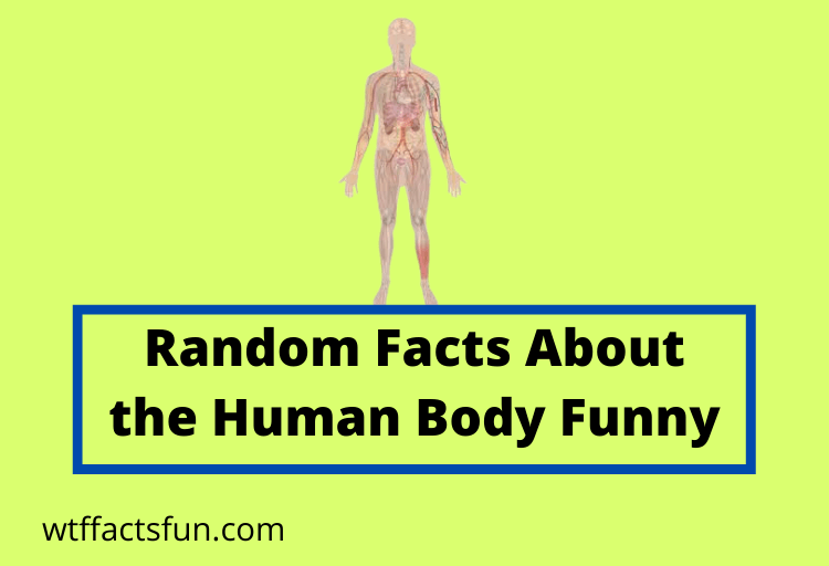 Random Facts About the Human Body Funny