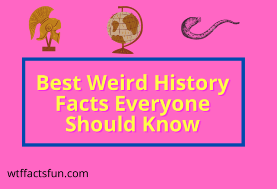 World History Facts Everyone Should Know