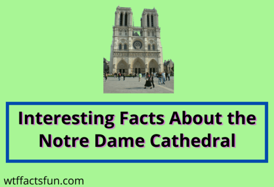 Interesting Facts About the Notre Dame Cathedral