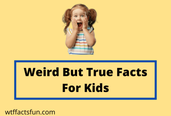Weird But True Facts For Kids