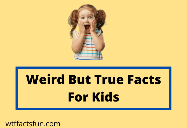 Weird But True Facts For Kids