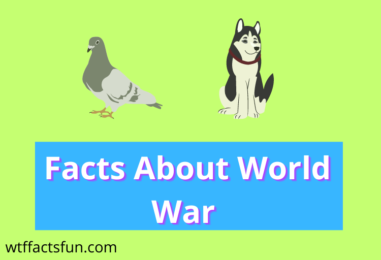 10 Facts About World War 1