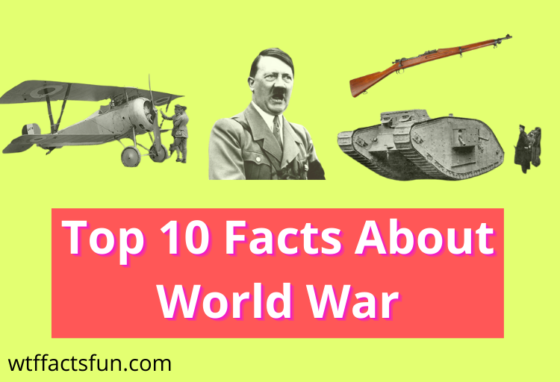 Top 10 Facts About World War 1