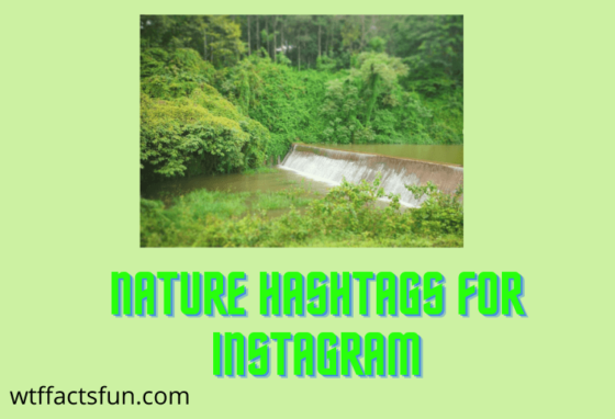 Nature Hashtags for Instagram