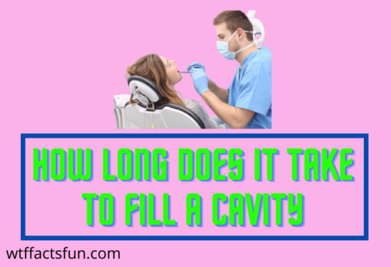 How Long Does It Take to Fill a Cavity