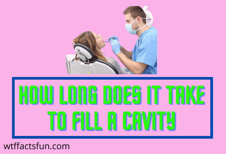 How Long Does It Take to Fill a Cavity