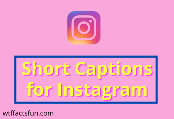 Short Captions for Instagram