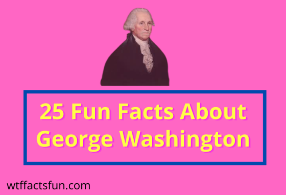 25 Fun Facts About George Washington