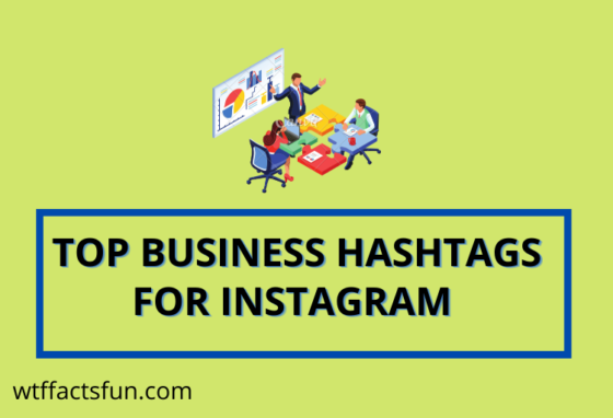 Business Hashtags For Instagram