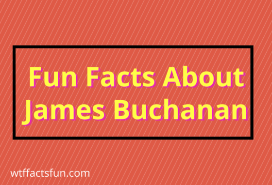 Fun Facts About James Buchanan