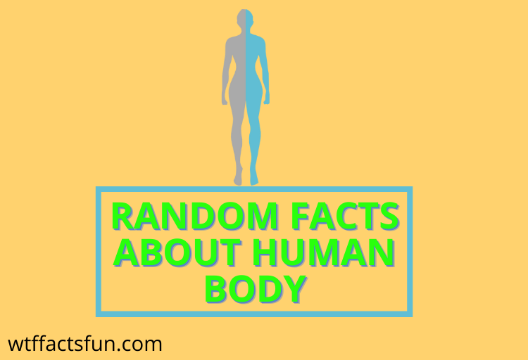 Random Facts About Human Body