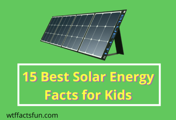 Solar Energy Facts for Kids
