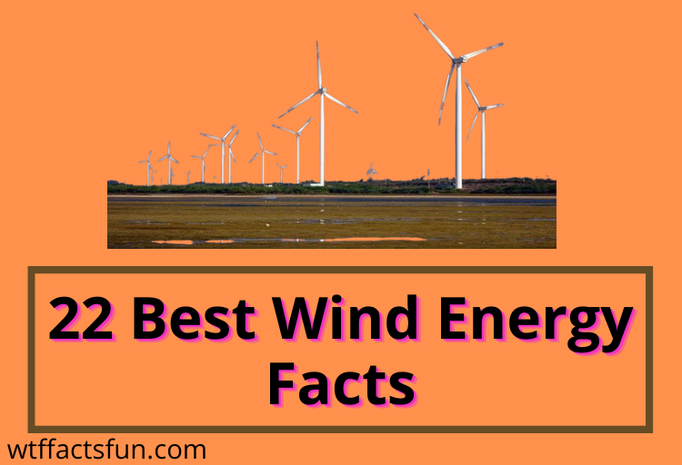 Wind Energy Facts