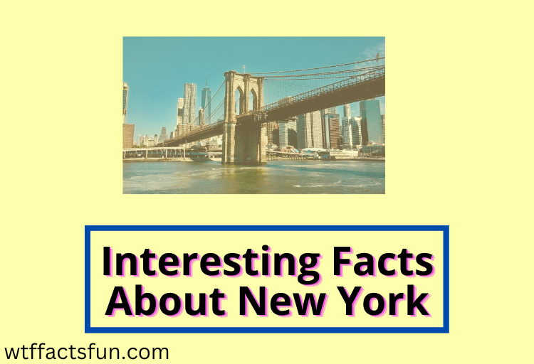 Interesting Facts About New York