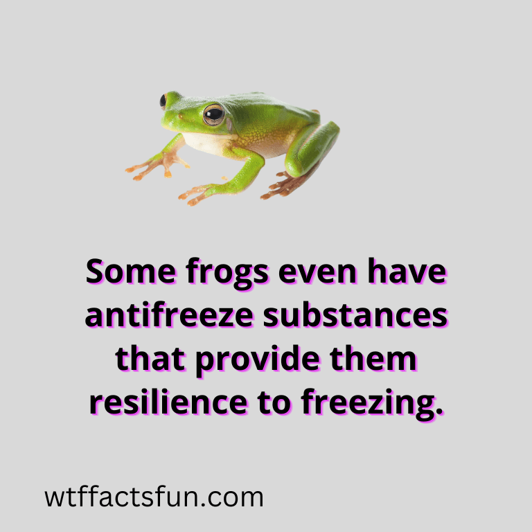 Amphibians Facts for Kids