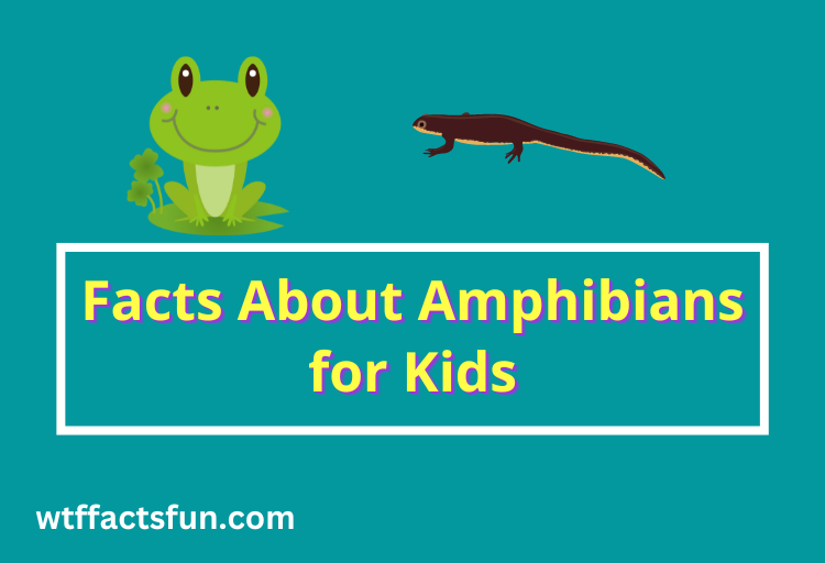 Facts About Amphibians for Kids