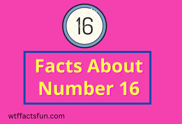 Facts About Number 16