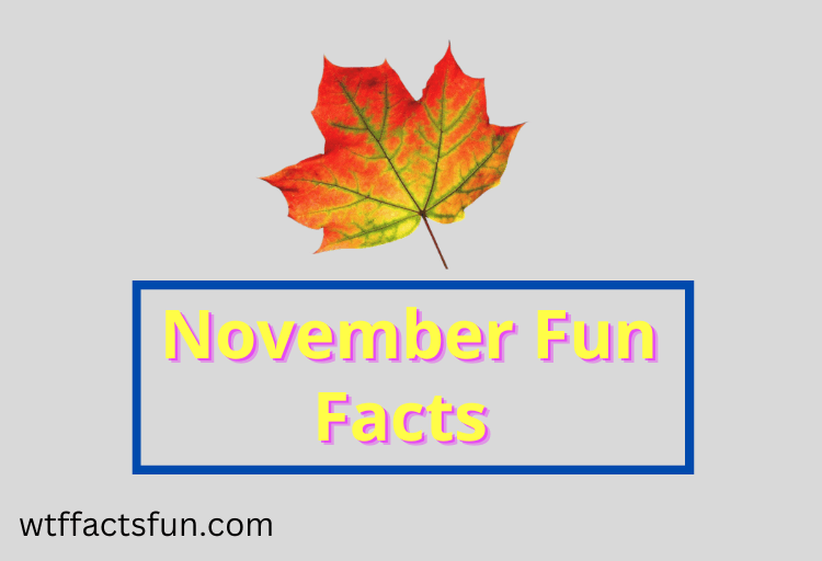  November Fun Facts 