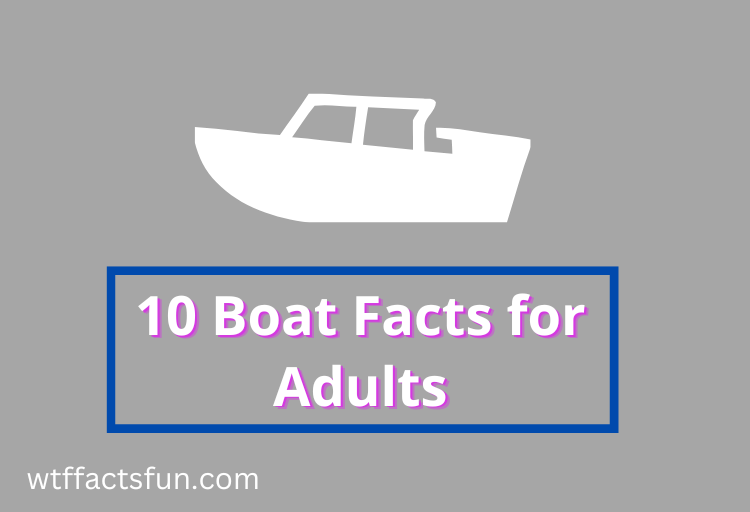 Boat Facts for Adults