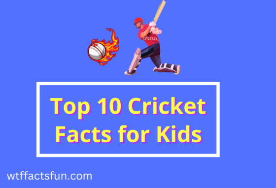 Cricket Facts for Kids