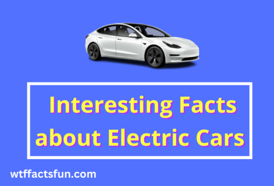 Interesting Facts about Electric Cars