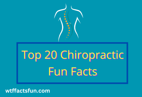Chiropractic Fun Facts