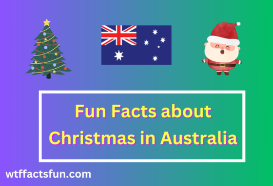 Fun Facts about Christmas in Australia