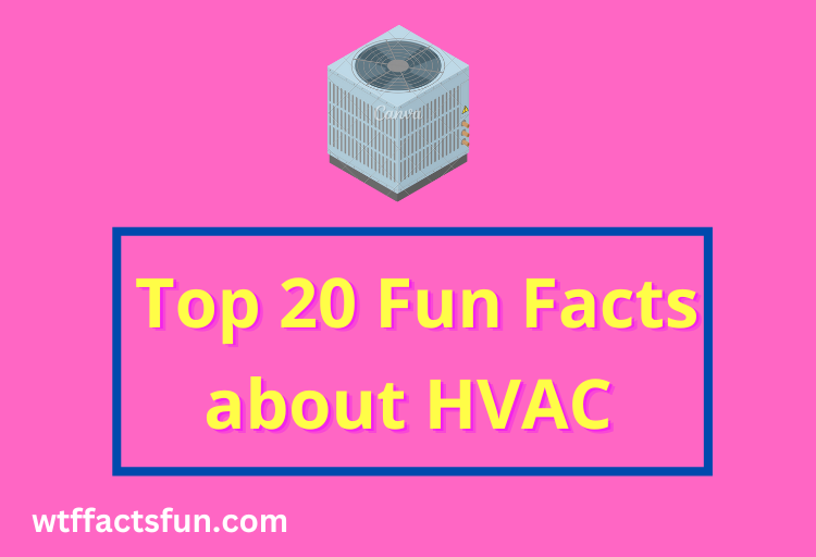 Fun Facts about HVAC