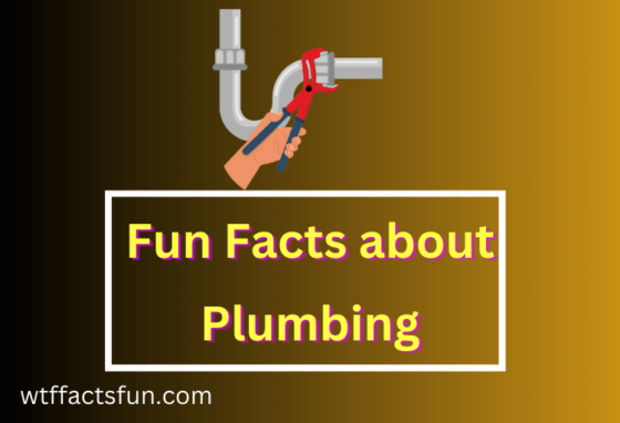 Fun Facts about Plumbing