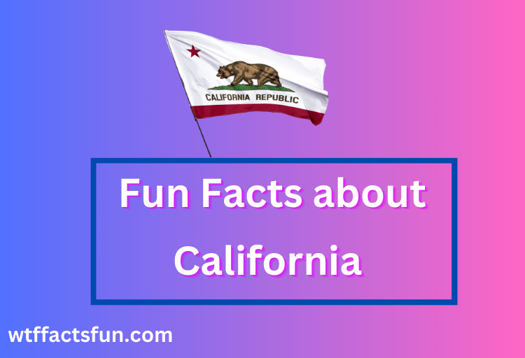 Fun Facts about California