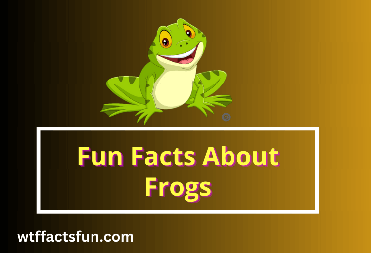 Fun Facts About Frogs