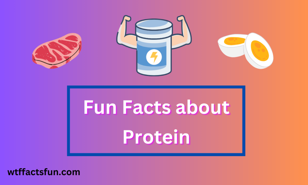 Fun Facts about Protein