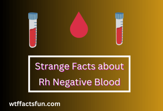 Strange Facts about Rh Negative Blood