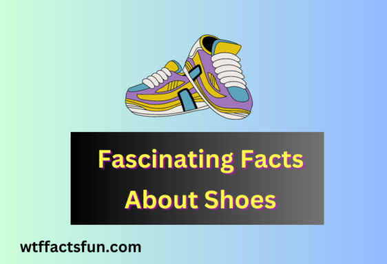 Facts About Shoes