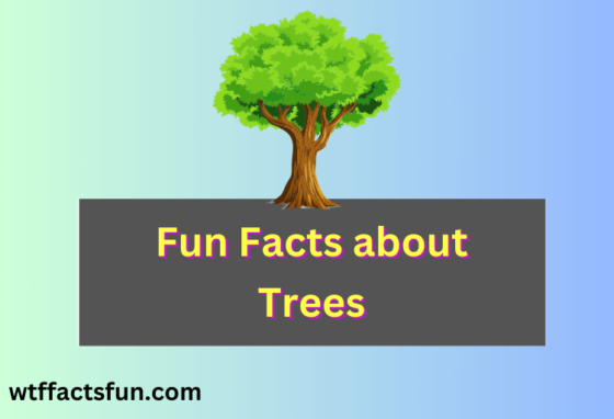 Fun Facts about Trees