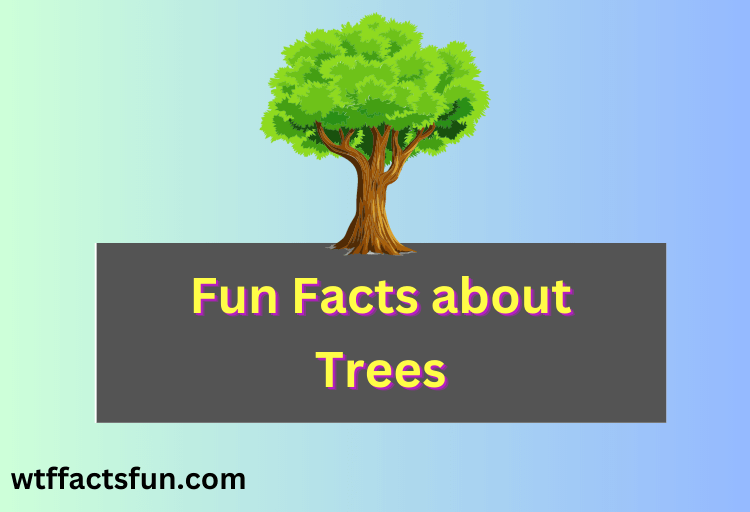 Facts about Trees