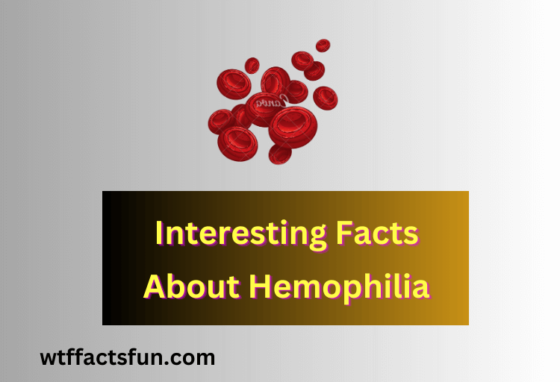 Interesting Facts About Hemophilia