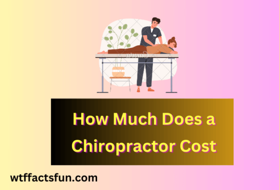 How Much Does a Chiropractor Cost
