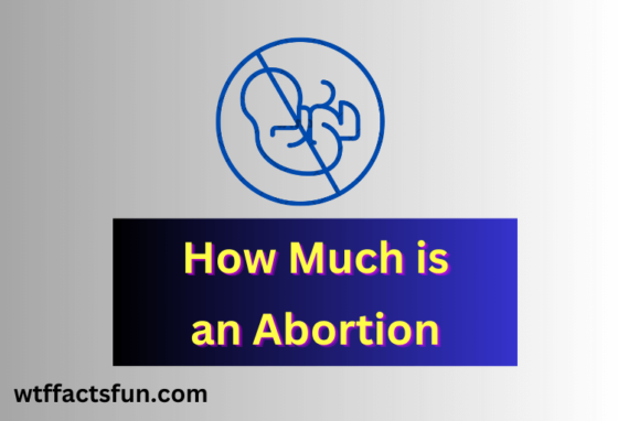 How Much is an Abortion