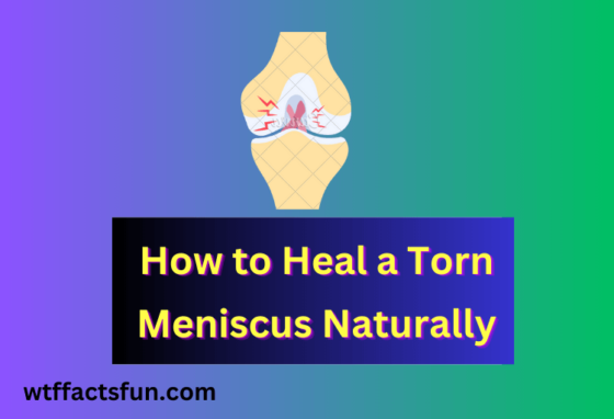 How to Heal a Torn Meniscus Naturally