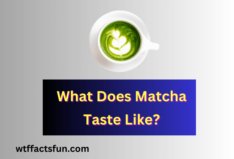 What Does Matcha Taste Like