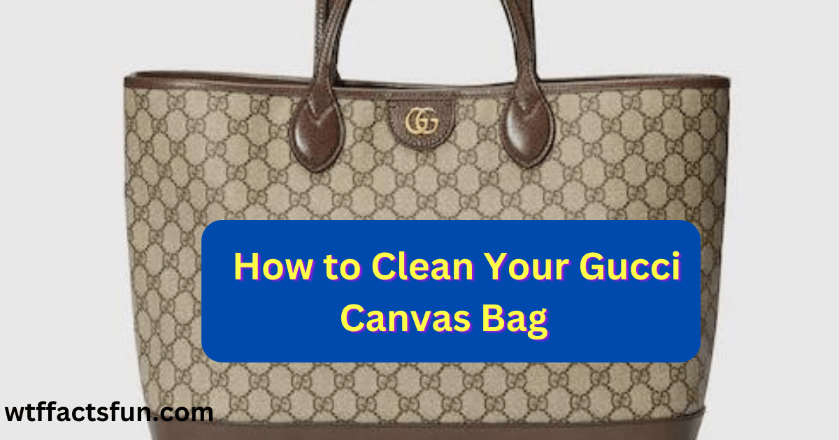 How to Clean Your Gucci Canvas Bag
